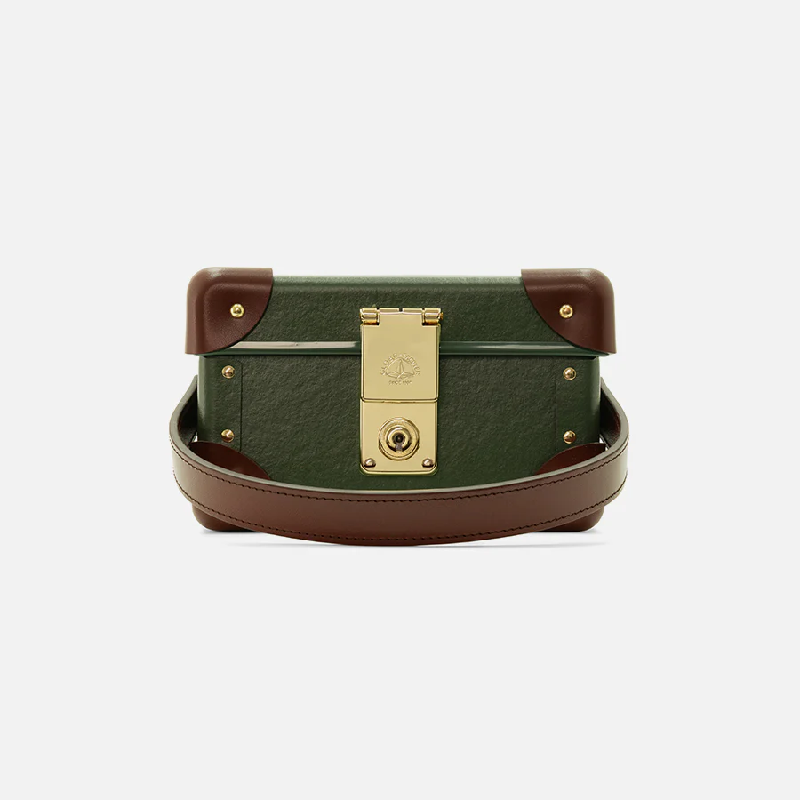 Globe-Trotter Collectors Case - Image 5